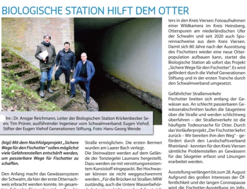 Biologische Station hilft dem Otter